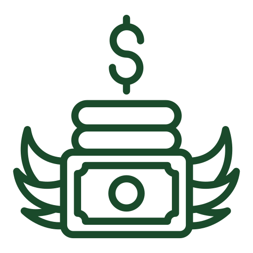 flying-money